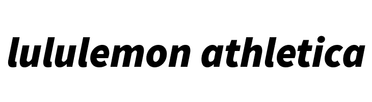 Source Sans Pro Black Italic  Descarca Fonturi Gratis