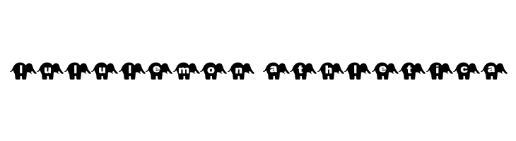 sbelephant  Descarca Fonturi Gratis