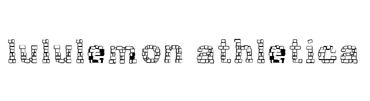 RHBrickhausProto-PLASM  Descarca Fonturi Gratis