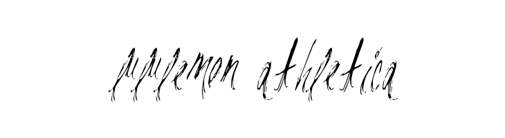 ParisLabel  Descarca Fonturi Gratis