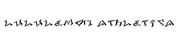 LHF Def Writer | CONVEX  Descarca Fonturi Gratis