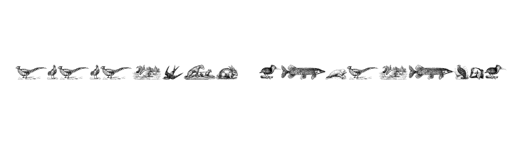 Animals Old Cuts  Descarca Fonturi Gratis