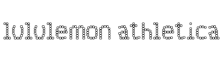 JD Quadz Regular  Descarca Fonturi Gratis