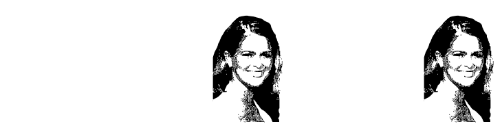 Princess Madeleine of Sweden  Descarca Fonturi Gratis