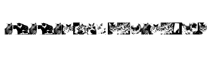 CatBats  Descarca Fonturi Gratis