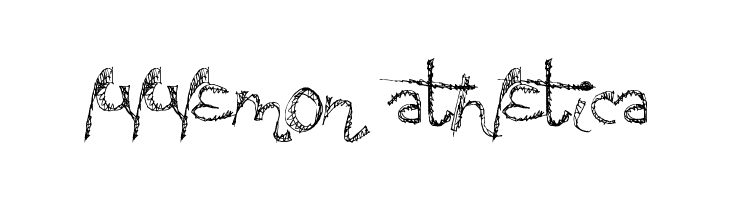 SweatyParty  Descarca Fonturi Gratis