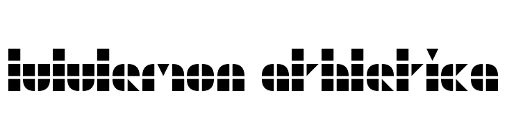 GeoGrid9  Descarca Fonturi Gratis