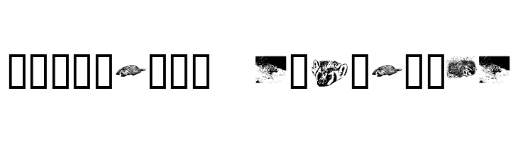 KR Crystal's Badgers  Descarca Fonturi Gratis