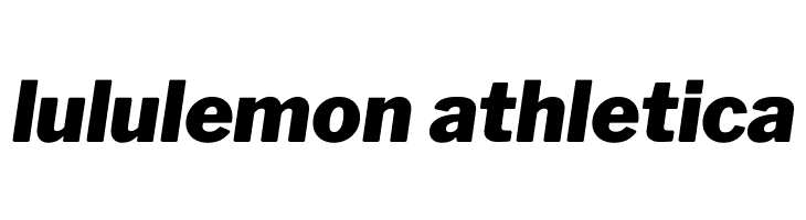 Libre Franklin Black Italic  Descarca Fonturi Gratis