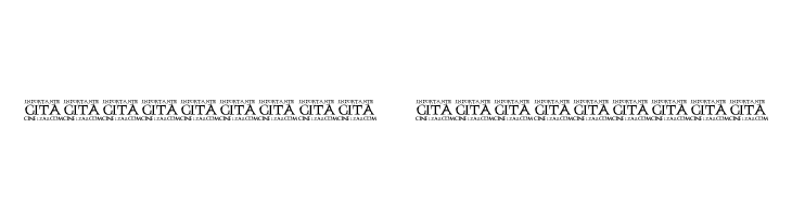 InportanteCita  Descarca Fonturi Gratis
