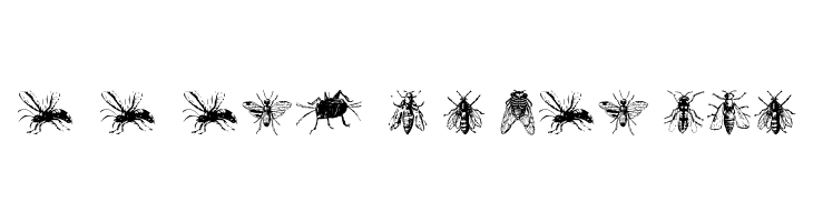 AEZinsects  Descarca Fonturi Gratis