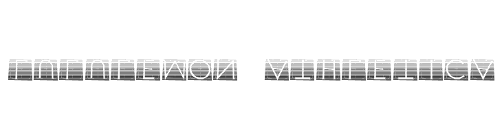 XperimentypoTwoStripes  Descarca Fonturi Gratis