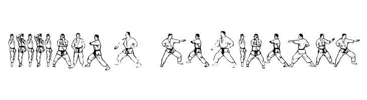 McCoy Dingbat Karate  Descarca Fonturi Gratis