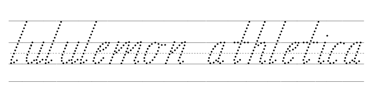 TAS Handwriting Guide  Descarca Fonturi Gratis