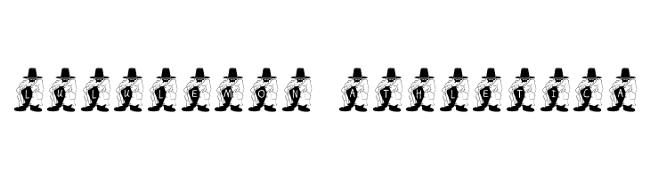 FL Flasher  Descarca Fonturi Gratis