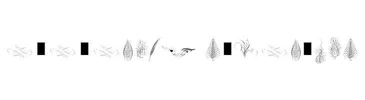 Penmanship Feathers  Descarca Fonturi Gratis