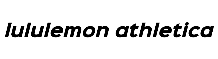 Sinkin Sans 800 Black Italic  Descarca Fonturi Gratis